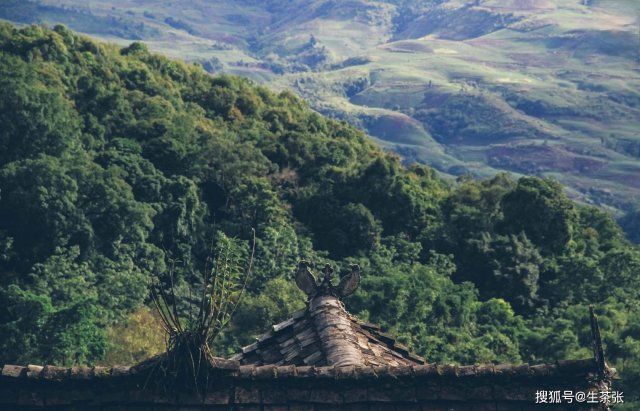 巴达山普洱茶特点属于哪个产区的 巴达山普洱茶口感特点