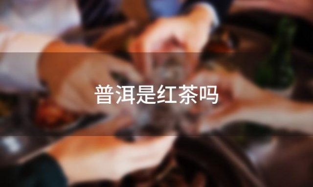 普洱是红茶吗「普洱是红茶吗熟」