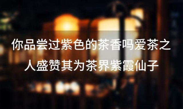 你品尝过紫色的茶香吗爱茶之人盛赞其为茶界紫霞仙子，令人陶醉不已 
