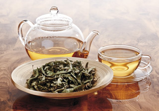 掌握这些秘诀，铁壶专家就是你