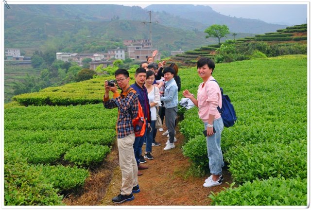 揭秘茶艺师：职责与等级一览，品味茶文化的魅力