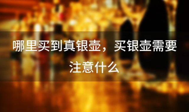 哪里买到真银壶 买银壶需要注意什么 