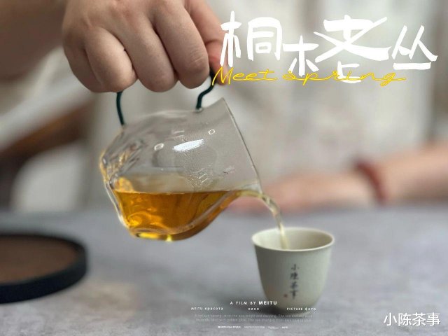 红茶、绿茶、普洱，哪种茶更益健康长期饮用的科学选择揭秘