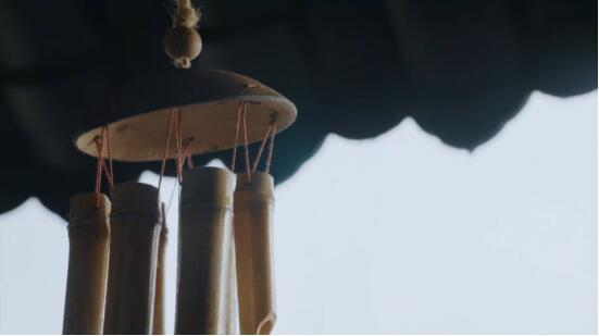 一杯青梅酒,开启餐桌伴奏万种可能