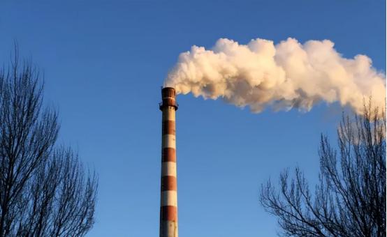 酒厂里没有烟，没有酒糟，生产的酒全是勾兑酒？ 看完你就明白了