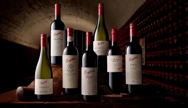 奔富红酒vip668，奔富级别的红酒