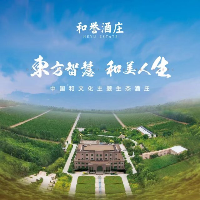 宁夏产区12年沉淀，再掀中国葡萄酒高质量发展新高潮 