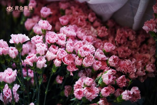 金酱酒母亲节礼物，祝所有妈妈节日快乐 