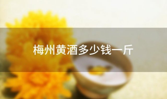 梅州黄酒多少钱一斤 