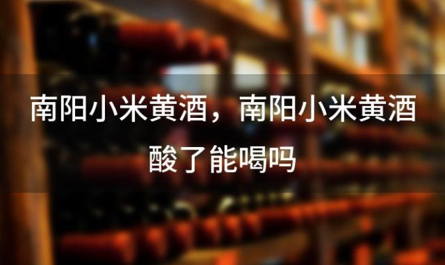 南阳小米黄酒，南阳小米黄酒酸了能喝吗 