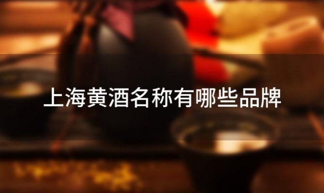 上海黄酒名称有哪些品牌？上海黄酒哪个牌子好