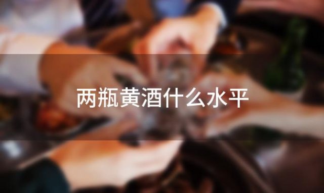 两瓶黄酒什么水平 