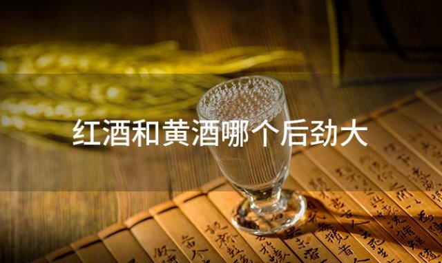 红酒和黄酒哪个后劲大，红酒和黄酒哪个容易醉