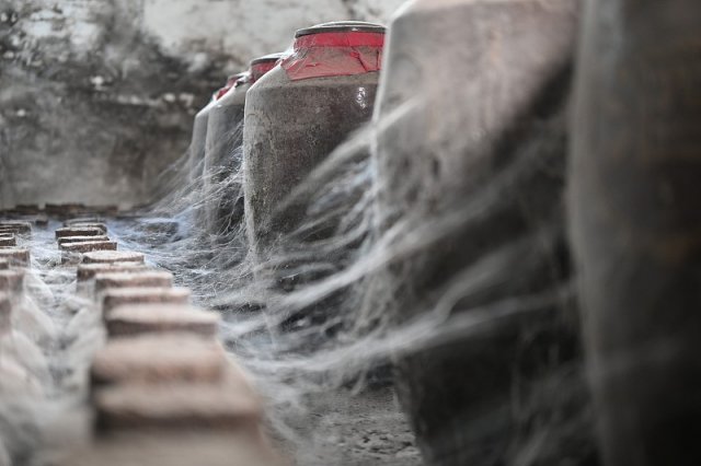 黄酒的热量高不高呀 