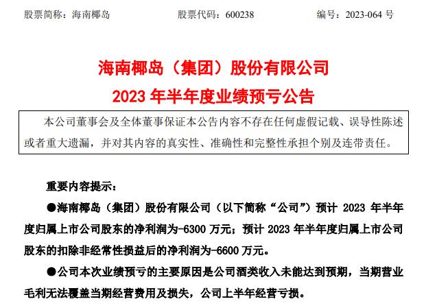 海南椰岛上半年由盈转亏 金籽酒亏损较少