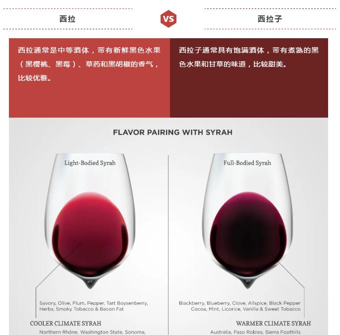 深入了解红葡萄界的"王者"：探索Syrah葡萄品种的独特魅力与风土表现