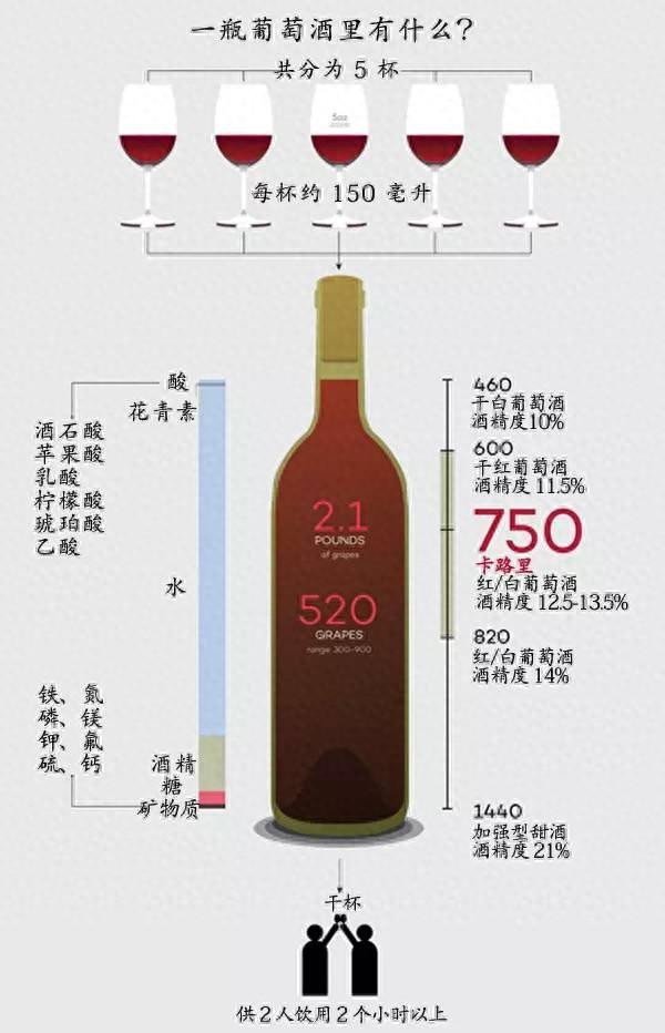 葡萄酒初学者必知:6条实用小常识