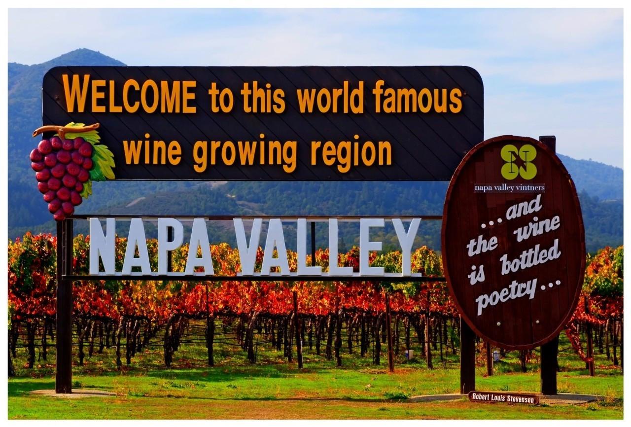 探秘纳帕谷：全球最贵赤霞珠的摇篮