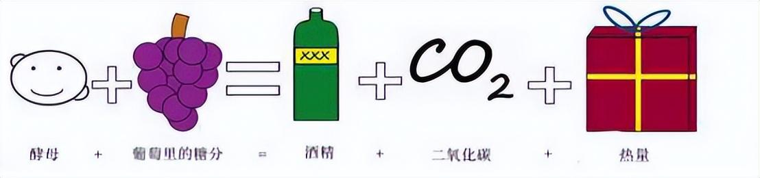 揭秘：葡萄酒度数为何难超16°？酒精度并非越高越好 