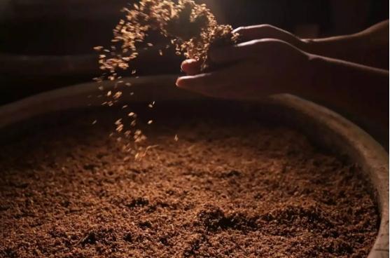 酒神口诀揭秘：喝前背诵，真能防醉？听专家解析