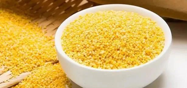 小米制酒工艺步骤详解