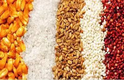 白酒酿造七步曲：传统工艺全解析