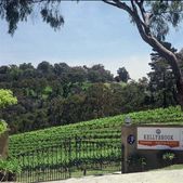 Kellybrook-凯莉酒庄 