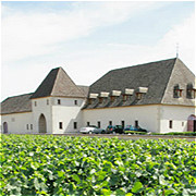 Chateau de Marsannay-马沙内酒庄