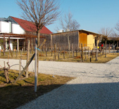 Weingut Kracher-格莱士酒庄