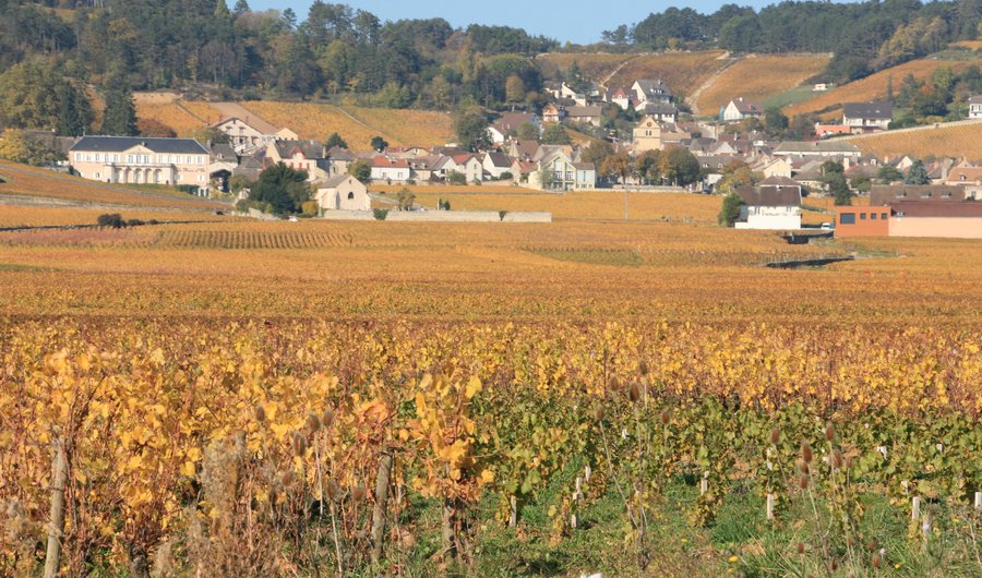 Domaine Jean-Marc et Thomas Bouley-宝丽庄园