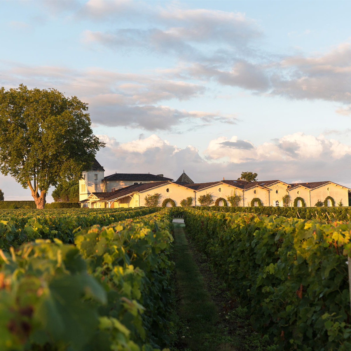 Clos des Jacobins-雅科宾酒庄 