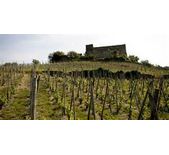 Les Vins de Vienne-维也纳酒庄