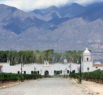 Bodega El Esteco-艾斯德科酒庄