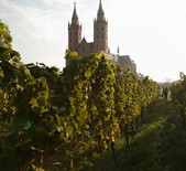 Weingut P.J. Valckenberg-沃克酒庄
