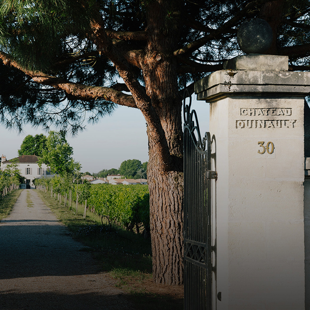 Chateau Quinault l'Enclos-君豪酒庄