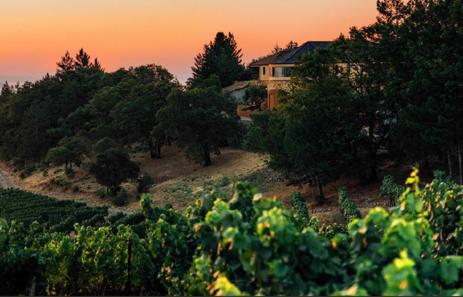 Vineyard Seven and Eight-7&8酒庄