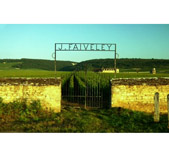 Domaine Faiveley-法维莱酒庄 