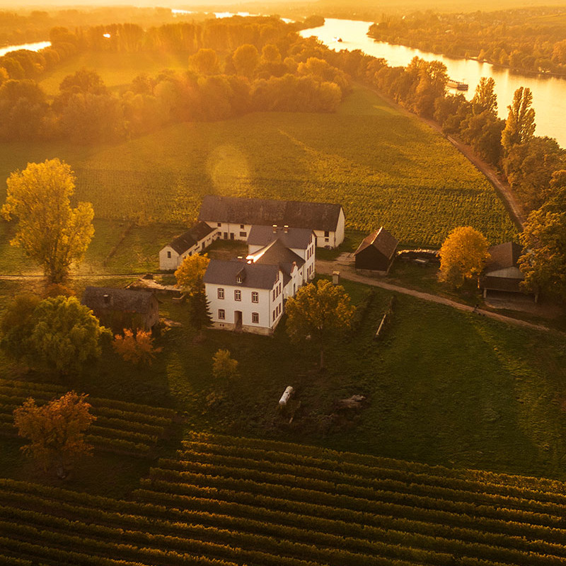 Schloss Reinhartshausen-莱茵豪森城堡 