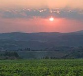 Castello Banfi-班菲酒庄 