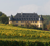 Schloss Vollrads-沃尔莱茨酒庄