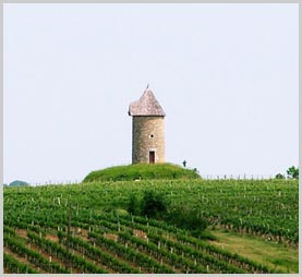 Chateau Martet-玛婷酒庄