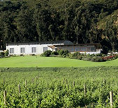 Odfjell Vineyards-奥非酒庄