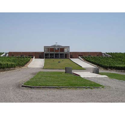 Bodega Monteviejo-蒙特维霍酒庄