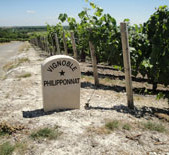 Champagne Philipponnat-菲丽宝娜香槟 