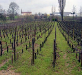 Domaine Dublere-都柏莱酒庄（又名：杜布雷酒庄）