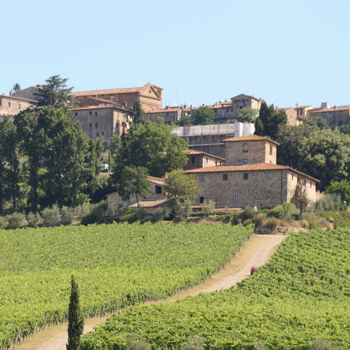 Fontodi-富迪酒庄 