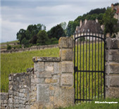 Domaine Pascal Prunier-Bonheur-普诺尼-博讷尔酒庄 