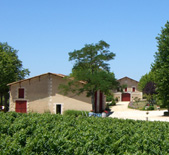 Chateau de Tourteyron-杜特隆酒庄