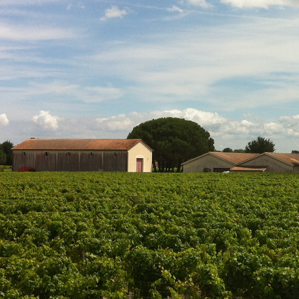 Chateau Carcanieux-卡甘诺酒庄