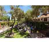 Grgich Hills Estate-格吉弛黑尔酒庄 